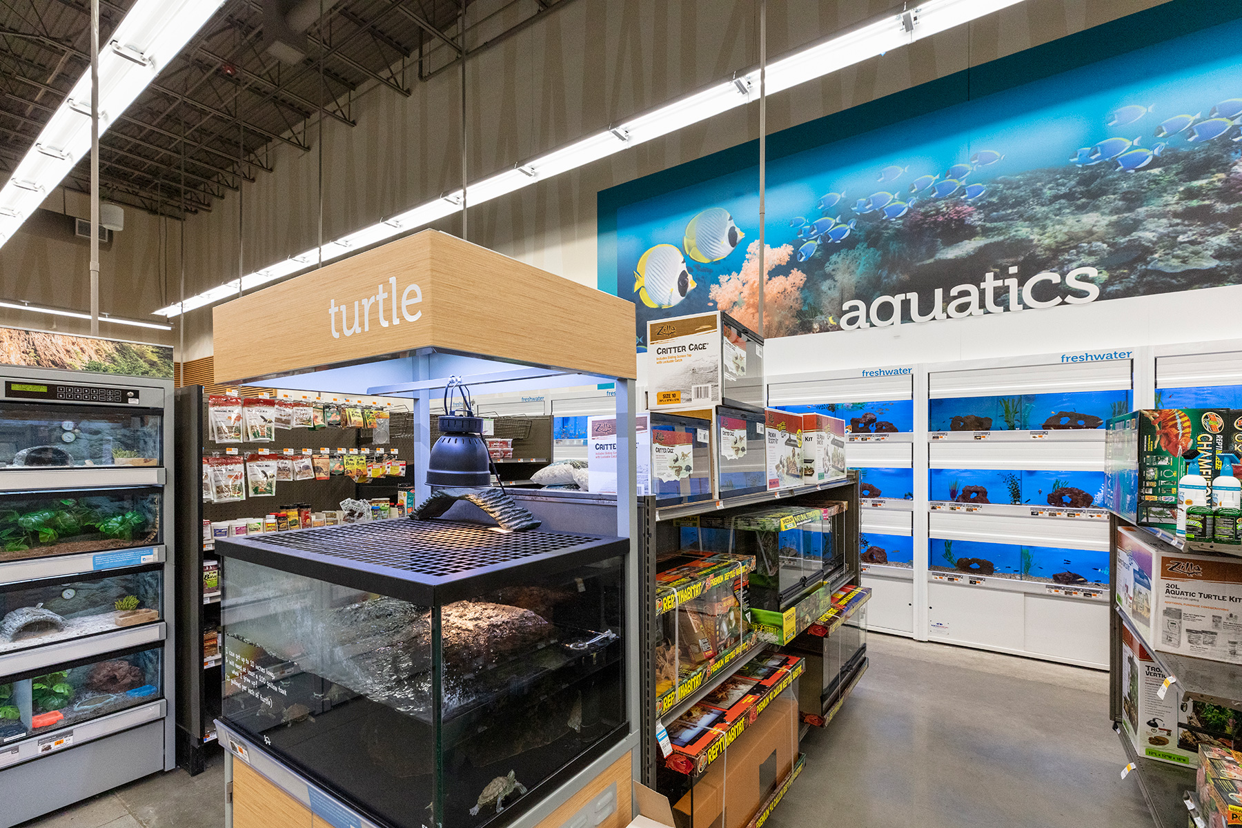 Inside of Petco, aquatics